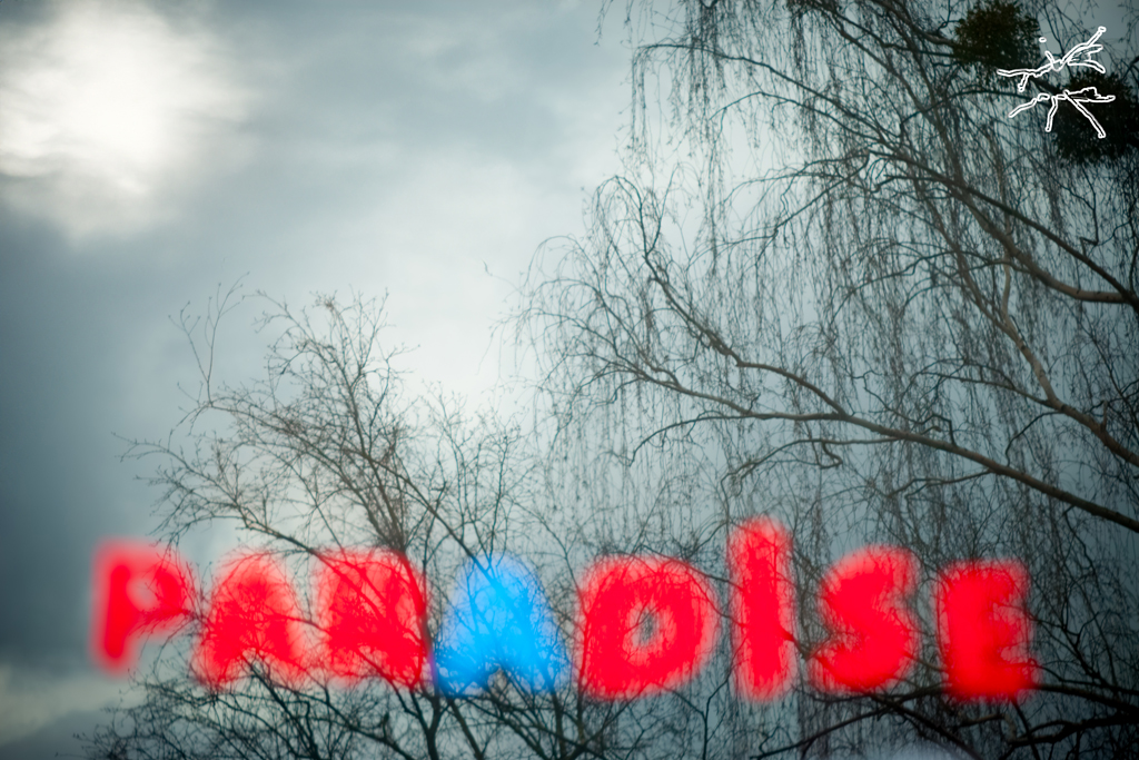 Leuchtende Schrift „paradise“ verschwommen vor winterlichen Baumkronen und grauem Himmel – symbolisch und surreal.