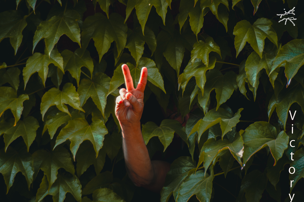 Eine Hand zeigt das Victory-Zeichen aus dichtem Efeu heraus – ein Symbol des Friedens, Sieges oder Protests, eingerahmt von sattem Grün.