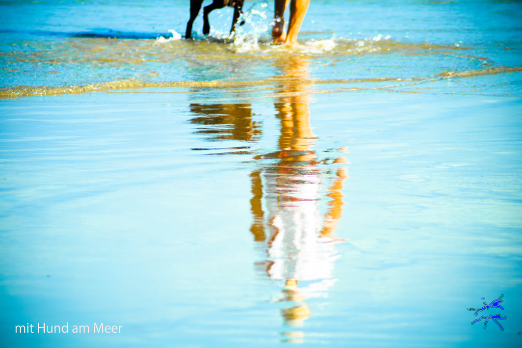 Spiegelung einer Person mit Hund im seichten Wasser am Meer
