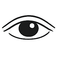 Sehsinn – reduziertes Auge