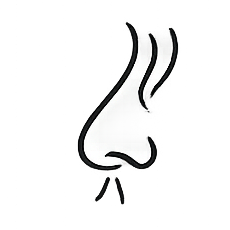 Geruchssinn – stilisierte Nase