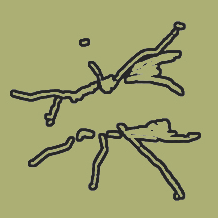 Reduzierte Fliegenskizze auf blassgrünem Grund. Die schwarze Linie wirkt leicht und unaufdringlich – eine Andeutung, kein Auftritt.