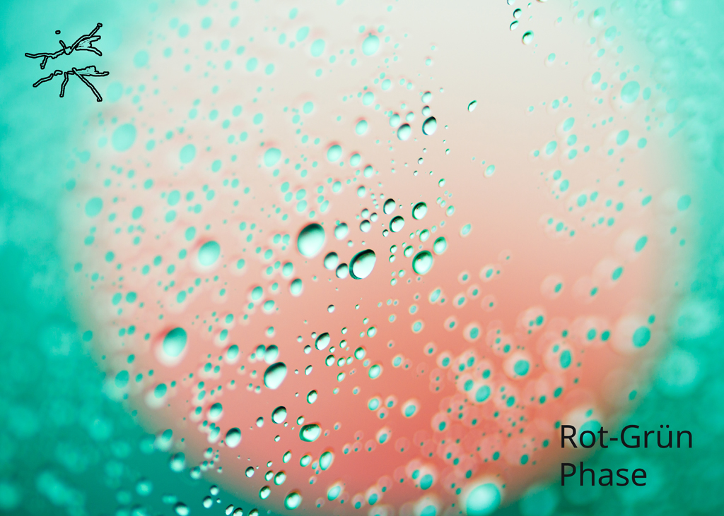 Nahaufnahme von Wassertropfen auf Glas vor einem rot-grünen Farbverlauf – abstrakt und atmosphärisch.